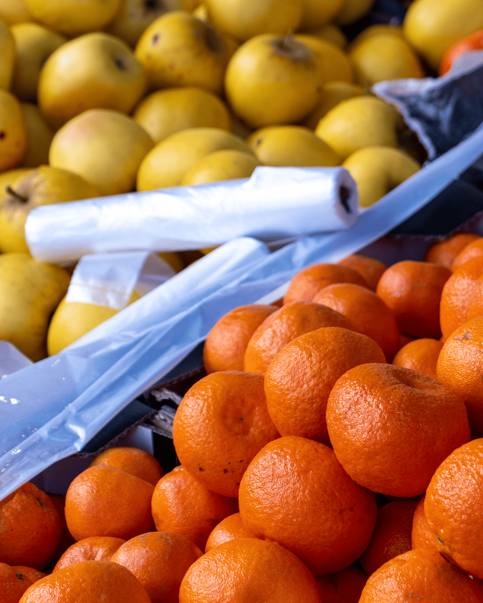 Primeur MACOM-080 (2)